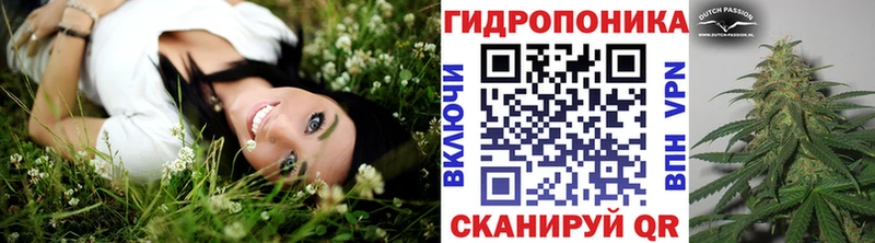 Конопля Bruce Banner  кракен ССЫЛКА  Берёзовка  нарко площадка формула  продажа наркотиков 